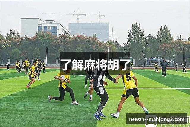 了解麻将胡了